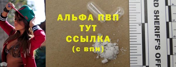 дживик Инсар