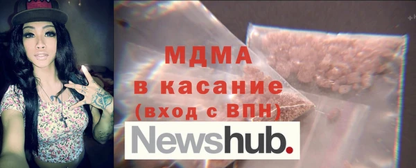 индика Каменка