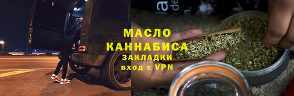индика Каменка