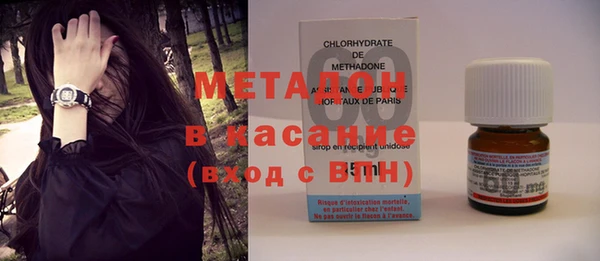индика Каменка