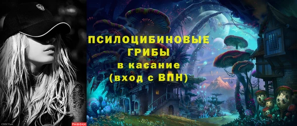 дживик Инсар