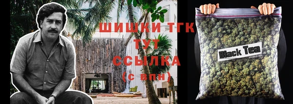 дмт Инта