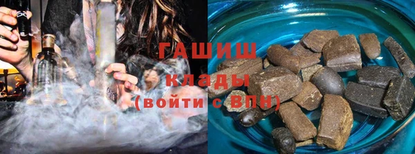 индика Каменка