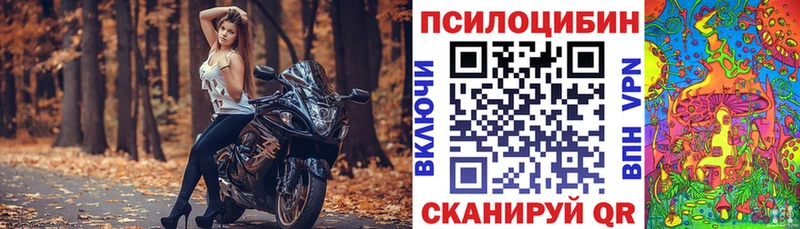 Купить  Камбарка  Псилоцибиновые грибы Psilocybine cubensis 
